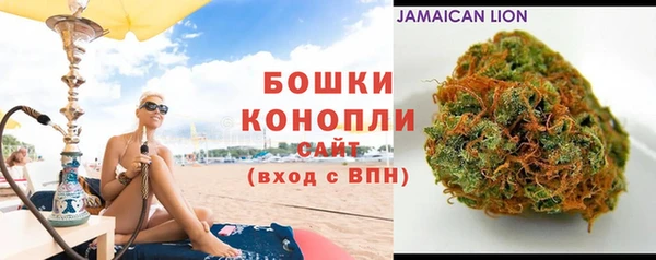 кокс Арсеньев