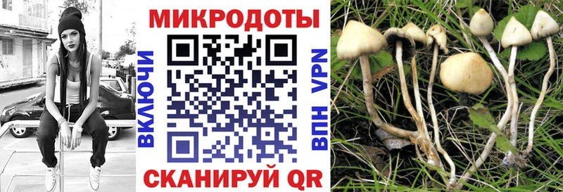 Псилоцибиновые грибы Magic Shrooms где купить наркотик Нижний Тагил